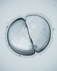 Jungbleiben durch Spermidin in Apothekenqualität Jungbleiben durch Spermidin in Apothekenqualität
